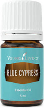 The Oil House | Blue Cypress Essential Oil | Our Australian Blue Cypress is farmed & distilled in Darwin, Australia.