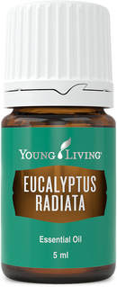 The Oil House | Eucalyptus Radiata Essential Oil 