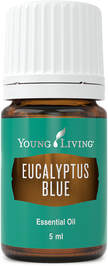 The Oil House | Eucalyptus | Eucalyptus Blue Essential Oil is invigorating when diffused.