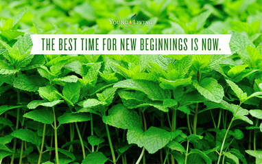The Oil House | The Best Time for New Beginnings is Now. Start your essential oil journey with us today!