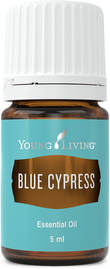 The Oil House | Blue Cypress Essential Oil | Essential Oils Australia, Find Your Own Kind of Natural.