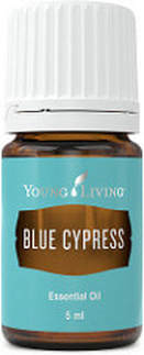 Blue Cypress Oil | The Oil House | Cypress Oil Australia