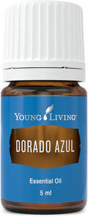 The Oil House | Dorado Azul | Soothing post-workout massage.