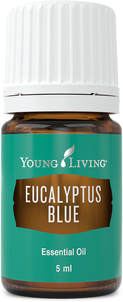 The Oil House | Eucalyptus | Eucalyptus Oil | Pure Eucalyptus Oil 