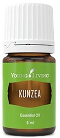 Kunzea Essential Oil | The Oil House | Kunzea Plant