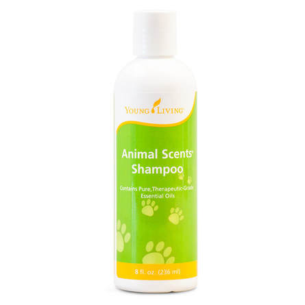 The Oil House | Natural Pet Shampoo | Clean condition and protect your pet's coat without the use of harmful ingredients.