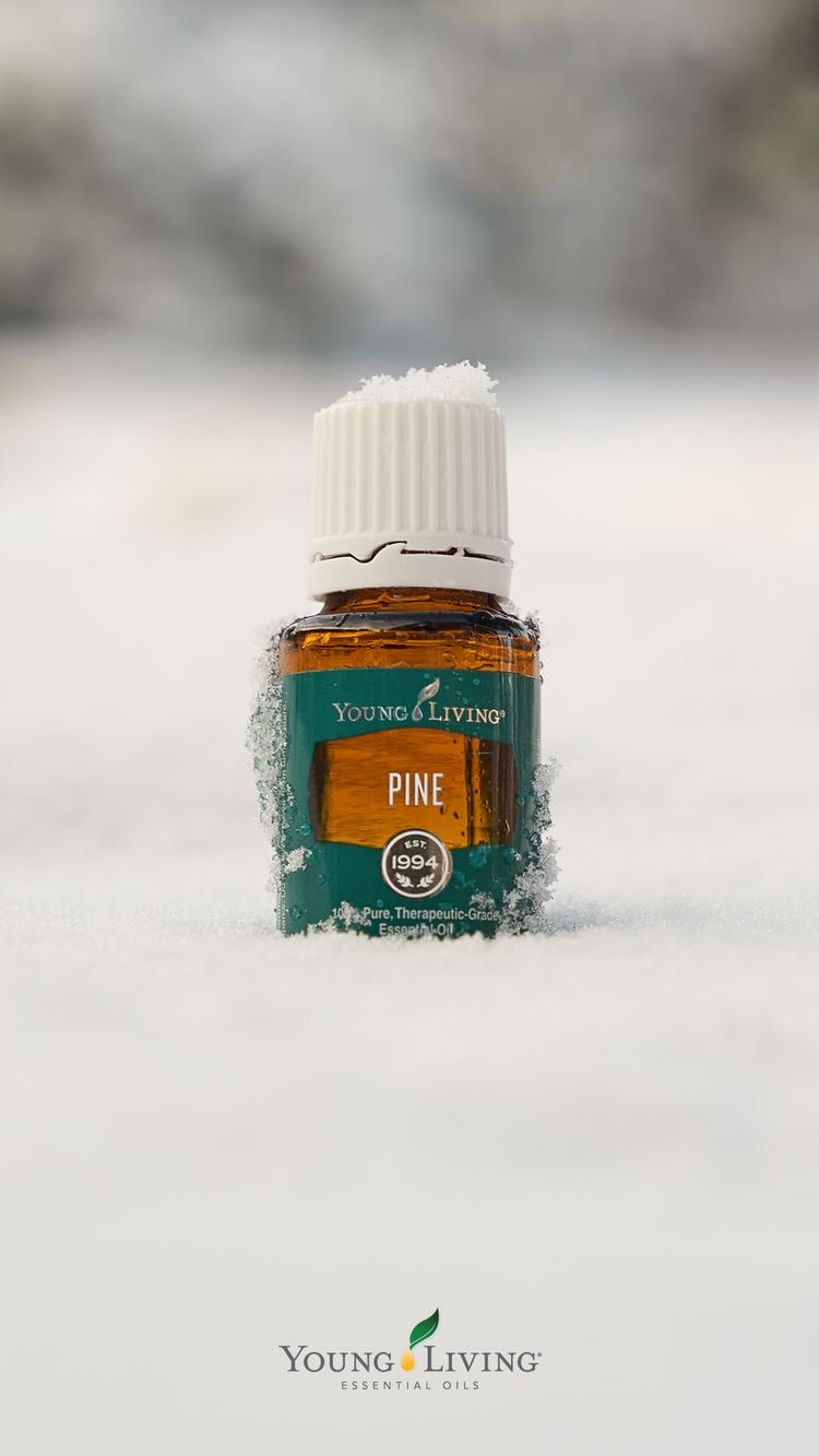 Pine Oil in Snow