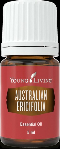 Lavender Tea Tree Oil | Australian Essential Oil | The Oil House