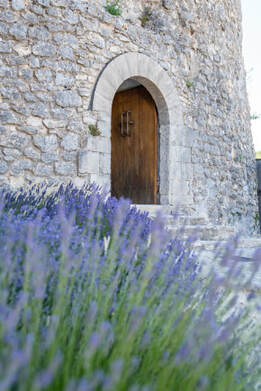 Lavender Flowers | The Oil House