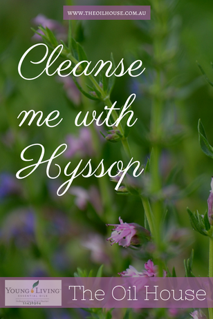 The Oil House | Cleanse me with hyssop | Pure essential oils for that holiday feeling every day.