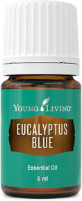 The Oil House | Eucalyptus Blue Essential Oil | For fresh clean smelling bathroom and showers!
