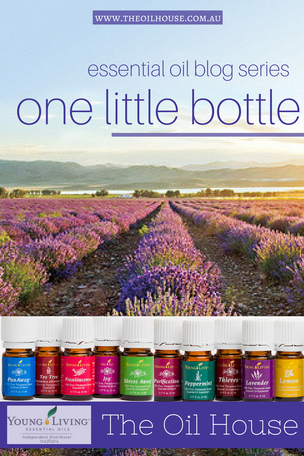 The Oil House | One Little Bottle | Essential Oil Blog | Pure essential oils for that holiday feeling every day.