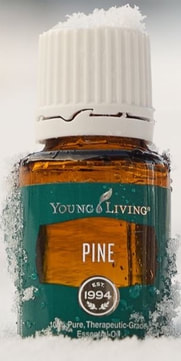 Pine Essential Oil | The Oil House | Pine Oil 