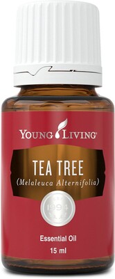 Tea Tree Oil for Cleaning | The Oil House