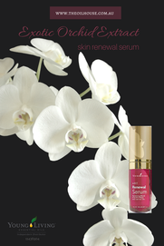 The Oil House | Exotic Orchid Extract | Skin Renewal Serum | A$165.90