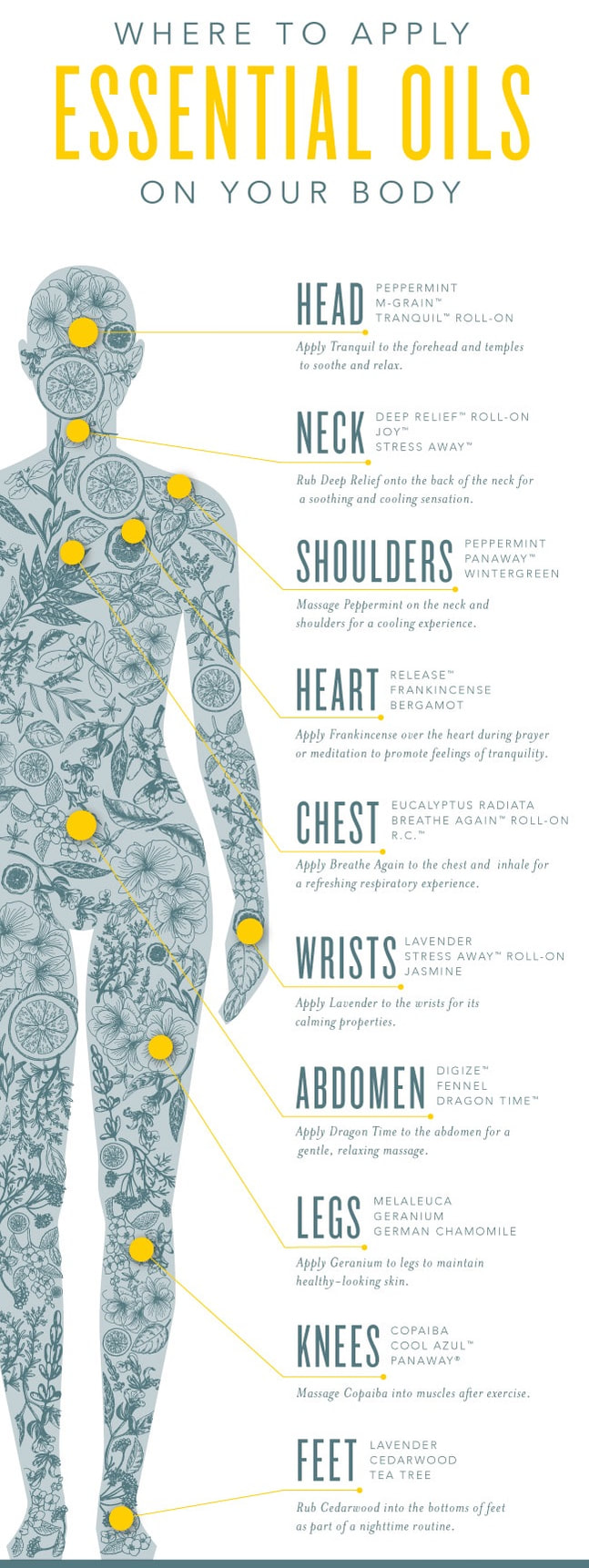 Where do I use essential oils infographic The Oil House